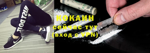 шишки Михайловка