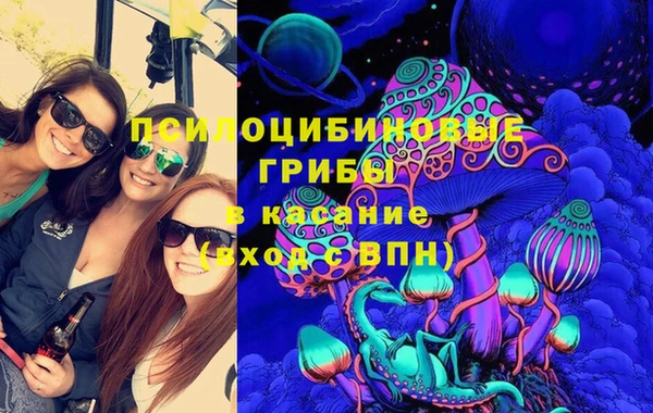 шишки Михайловка