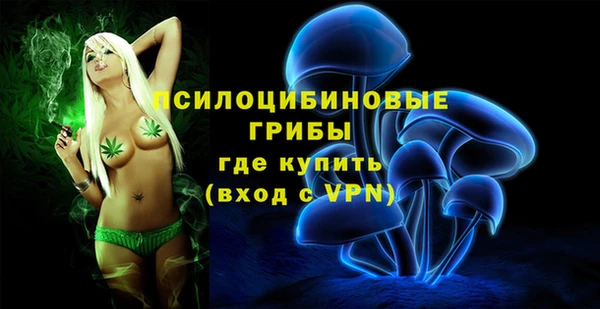 шишки Михайловка