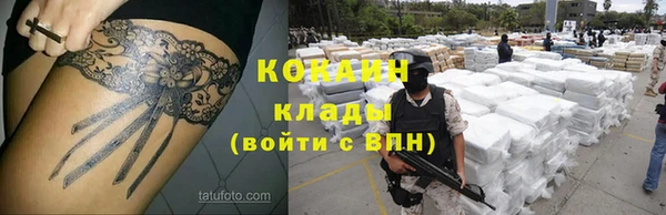 шишки Михайловка