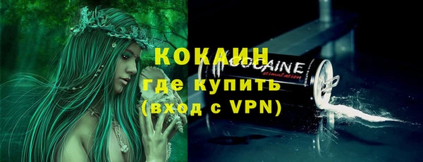 шишки Михайловка